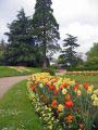 J Jardin botanique 53.jpg