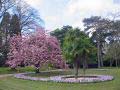 J Jardin botanique 60.jpg