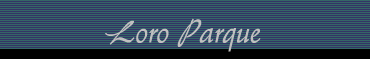 Loro Parque