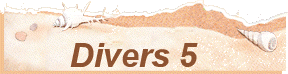 Divers 5